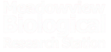Meadowview Biological Research Station